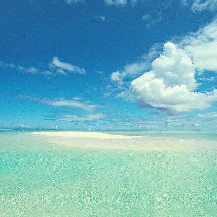 寂寞如此美麗